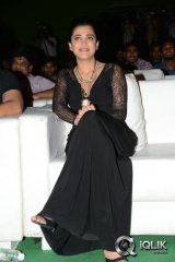 Shruti Hassan at Race Gurram Success Meet